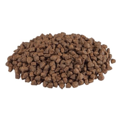 كيلو طعام جاف للقطط البالغه