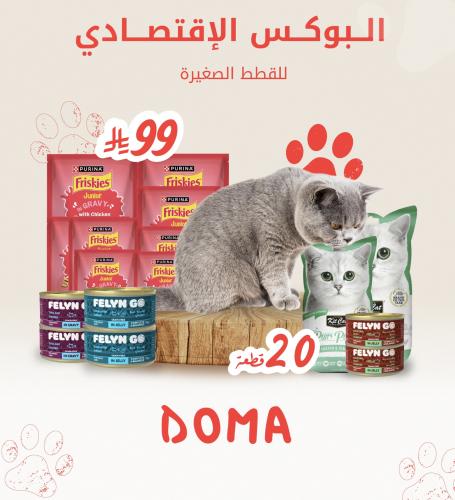 البوكس الاقتصادي للقطط الصغيرة