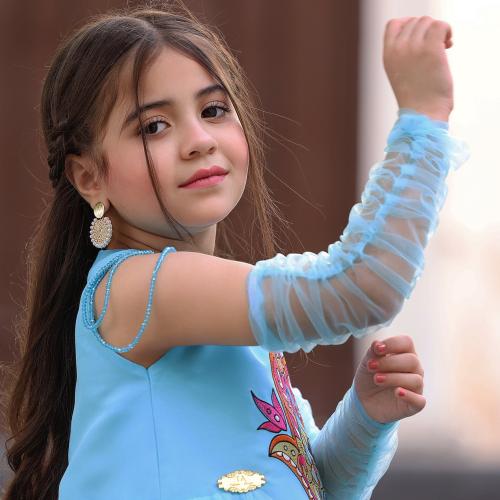 اكمام خارجيه