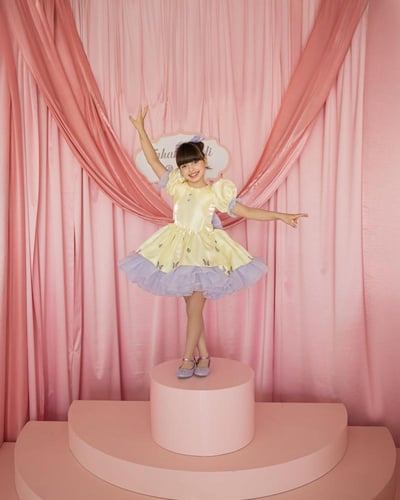 فستان الفراشات ( تطريز خاص )