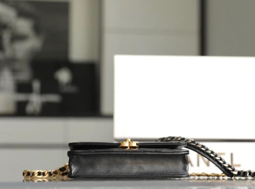 CHANEL 19 WALLET ON CHAIN