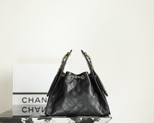 CHANEL 25 SMALL BAG