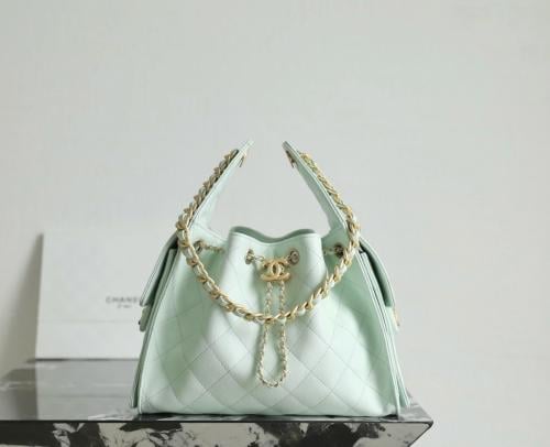 CHANEL 25 SMALL BAG