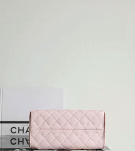 CHANEL 25 SMALL BAG