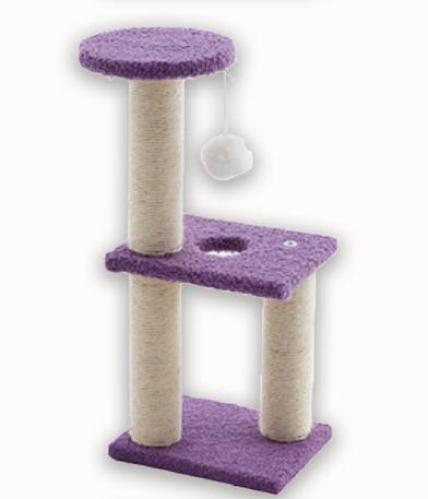 نت فيت خداشة دورين وسرير