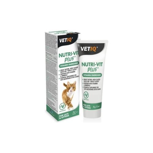 فيت اي كيو معجون غني بالفيتامينات للقطط 70غ