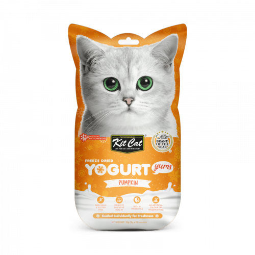 كت كات مكافأة مجففة يوقارت يامز باليقطين 1X10غ