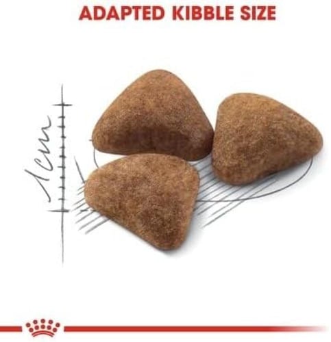 رويال كانين طعام جاف للقطط البالغة اندور