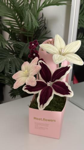 Burgundy flowers