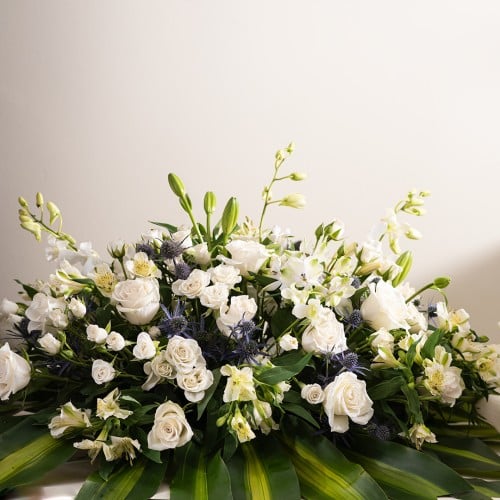 الارض الخضراء