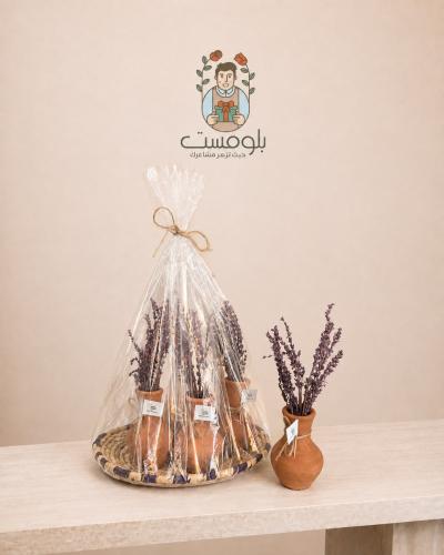 National day lovander clay jar favors