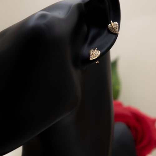 حلق شكل قلوب