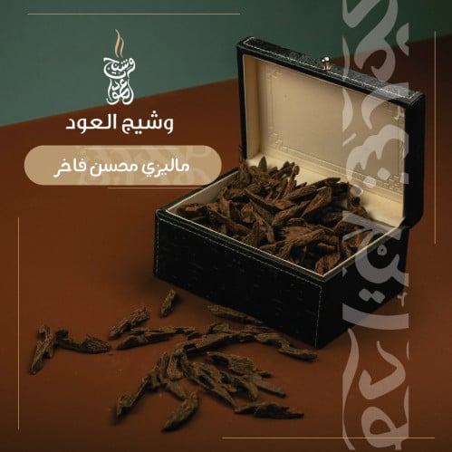 ماليزي محسن فاخر