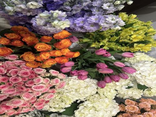 Flower arrangements 1 may 2025