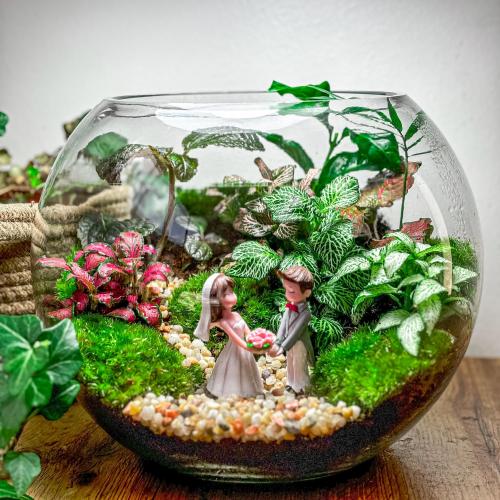 حديقه العرسان وسط