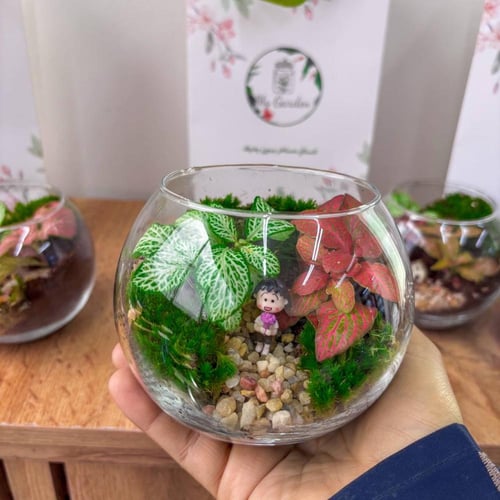 بكج القرقيعان