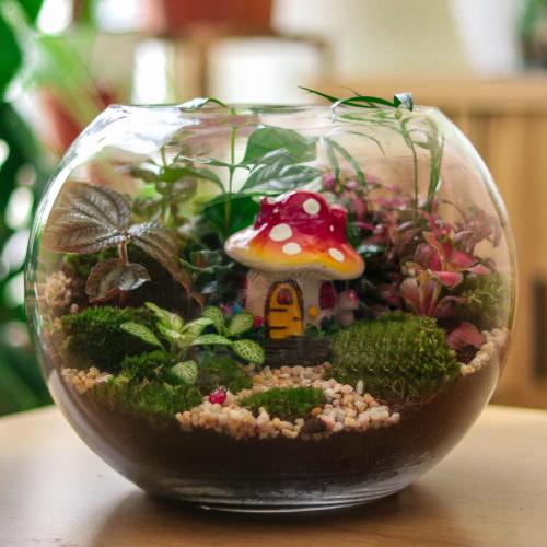 تصميم بيت الفطر ( كبير )