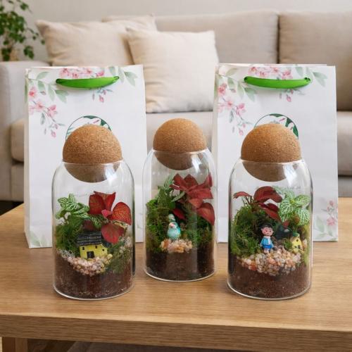 بكج يوم التأسيس