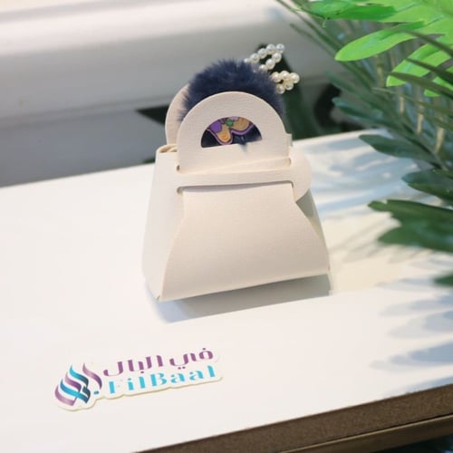 توزيعات الاطفال شنطة بالجلد مع البقلة ( 12 حيات)