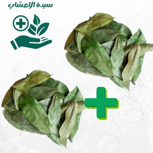 اوراق القشطة الشائكه عبوتين