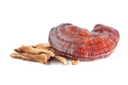 فطر ريشي عضوي شرائح 100 جرام