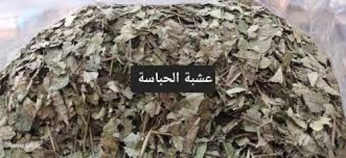 الحباسه عشبه الراعي الحجازيه 50 جرام