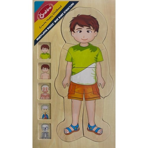 تركيبة اعضاء الجسم خشبية