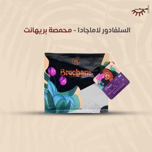 سلفادور لاماجادا - بريهانت | La Majada