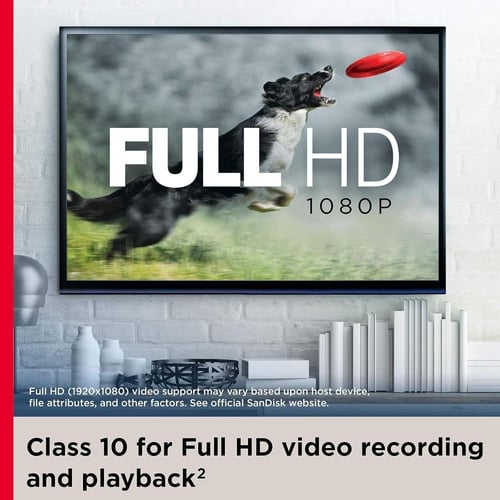 بطاقة ذاكرة 256GB من SanDisk –