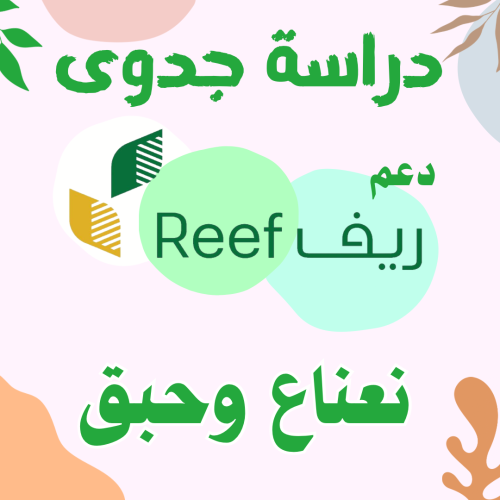 دراسة جدوى - نعناع وحبق