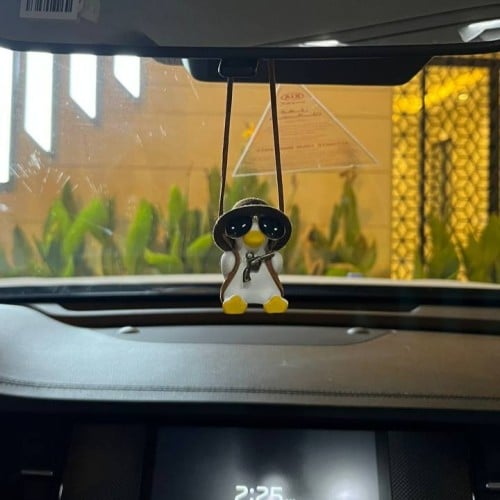 تعليقه البطه ( 2 )