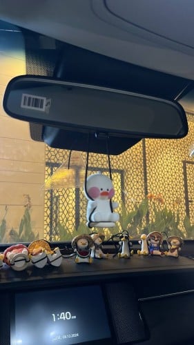 تعليقه البطه (9)