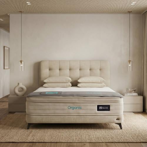 Luxury Discovery bed with a distinctive design