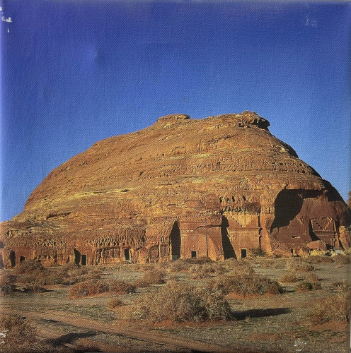 صور من السعودية