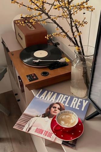 Lenco LS-55WA Turntable with Bluetooth and MP3 Enc...