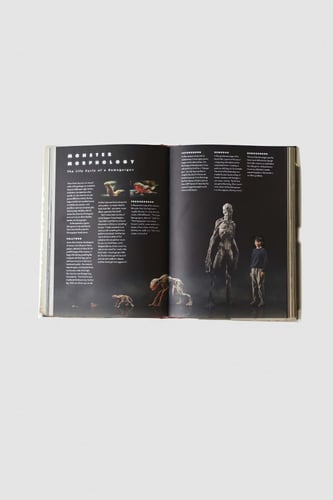 Stranger Things: Worlds Turned Upside Down: The Of...