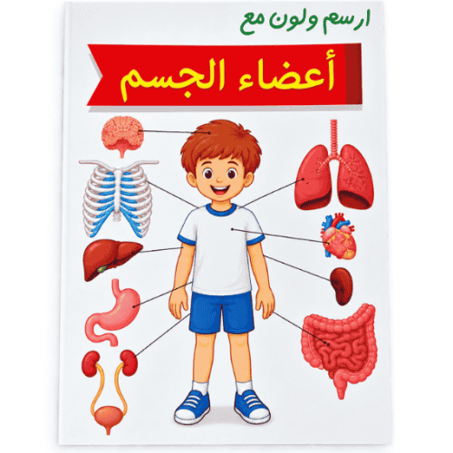 دفتر تلوين جسم الإنسان حجم A5