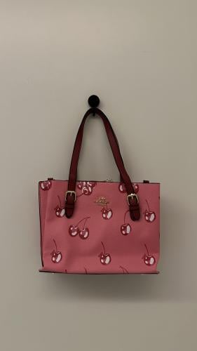 شنطة كوتش بدون ملحقات