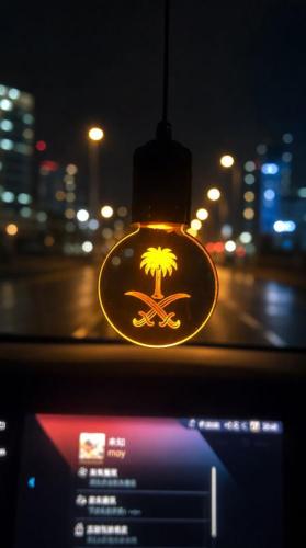 مصباح ليلي للسيارة لمبة الهبة تعليقة