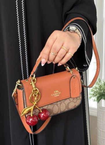 حقيبه يد من كوتش موديل ميني جوزي