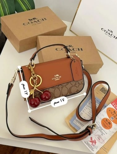 حقيبه يد من كوتش موديل ميني جوزي