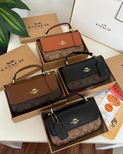 حقيبه يد من كوتش موديل ميني جوزي