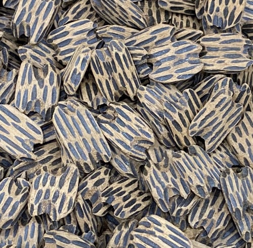 عود تايقر فتنامي ملكي