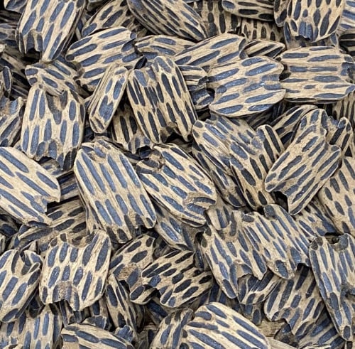 ثمن عود تايقر فتنامي ملكي