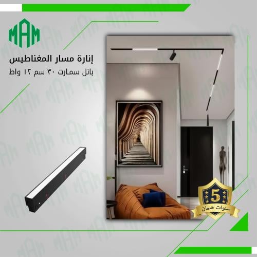 إنارة بانل المسار المغناطيسي ذكية 12 واط 30 سم