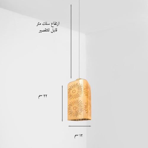 انارة علاقي مفرد 3D عصري وحديث بالون عسلي لامع لتن...