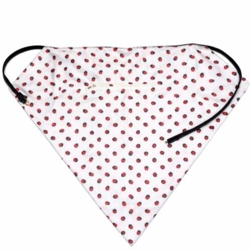 حقيبة الشالكي