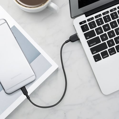 كيبل آيفون| أنكر | ربل | ط 30سم | أسود