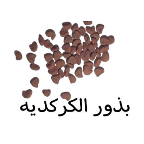 بذور الكركدية الأسود 100 بذرة