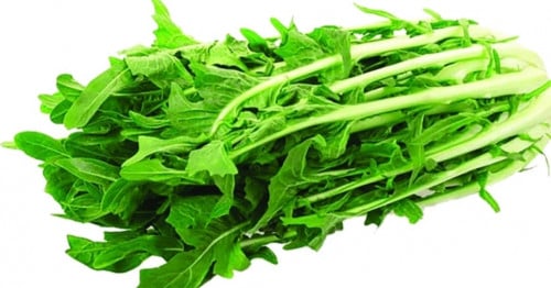 عشبة الهندباء العضوية مجفف حسب الوزن